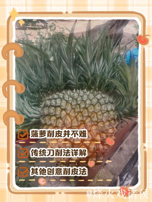 如何轻松去菠萝皮—详细视频教程 如何轻松去菠萝皮—详细视频教程