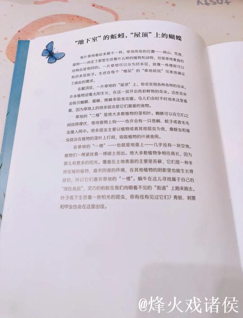 探索青青草91的世界：揭秘背后的故事与魅力