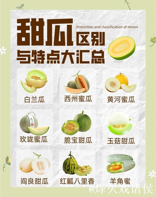 最新吃瓜网链接，还有更多瓜等你来品！